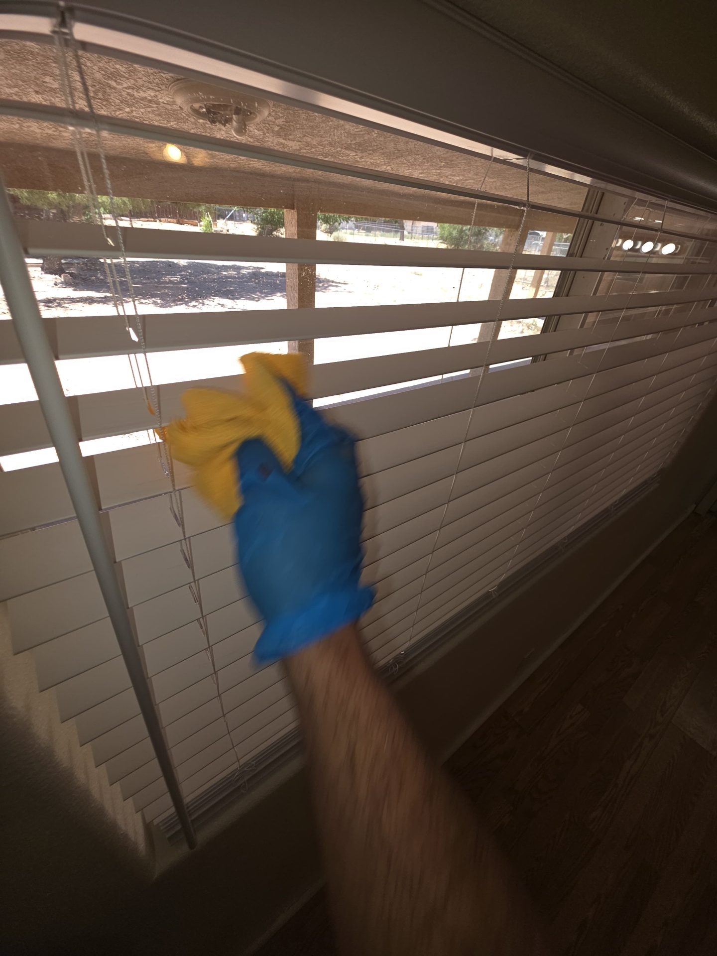 Detail Cleaning